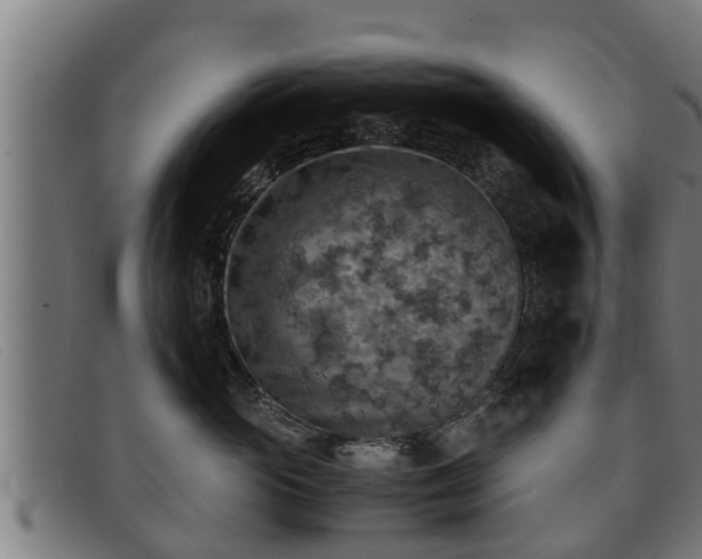 X0000091860765200709121330