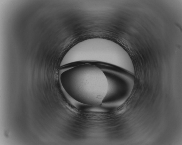 X0000091860766200709121330