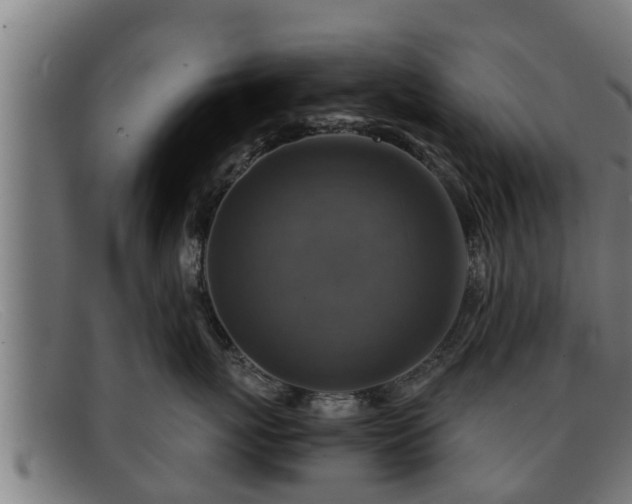 X0000091860767200709121330