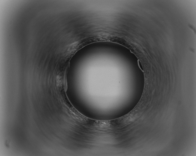 X0000091860768200709121330