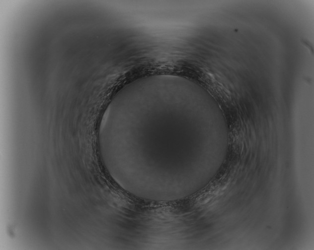 X0000091860769200709121329