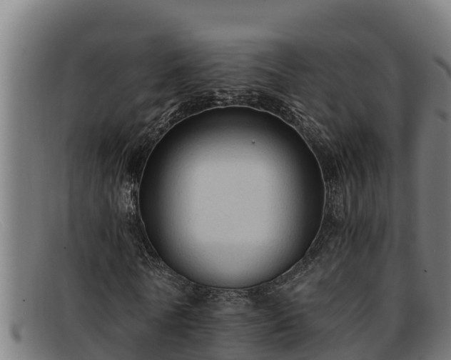 X0000091860770200709121329