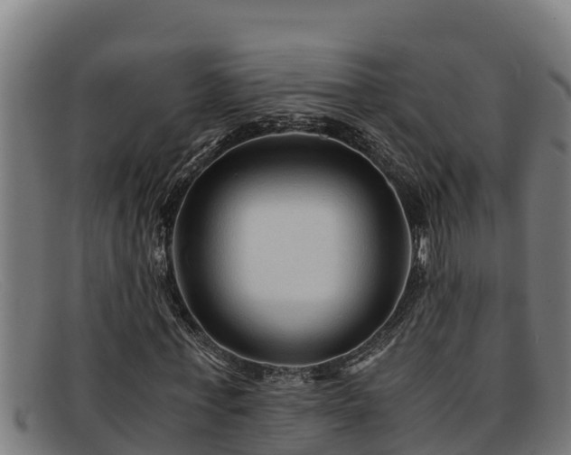 X0000091860771200709121329