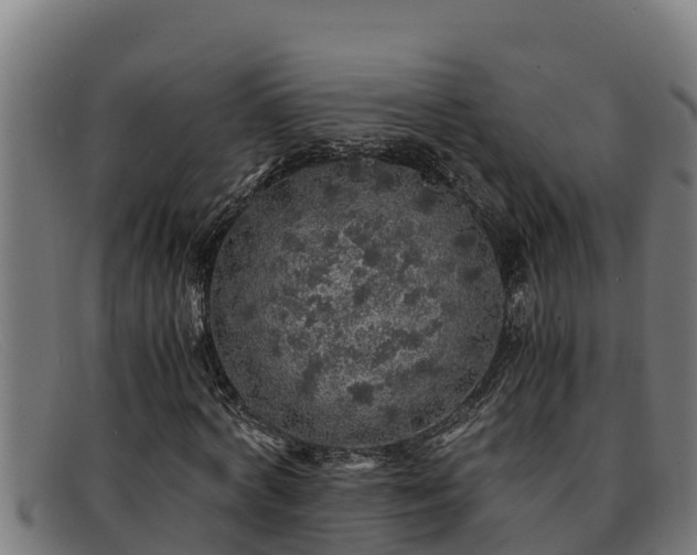 X0000091860772200709121329