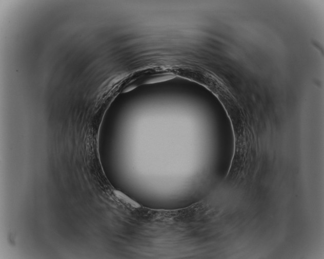 X0000091860773200709121329