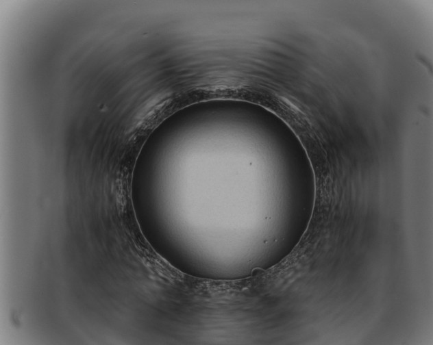 X0000091860774200709121329