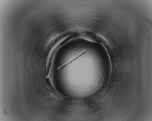 X0000091860775200709121329