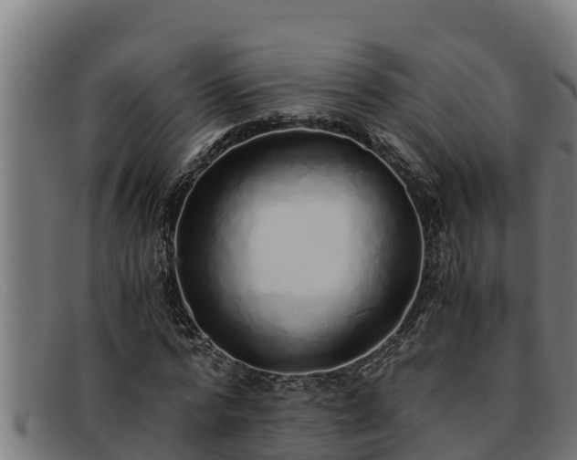 X0000091860776200709121329