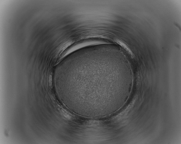 X0000091860777200709121329