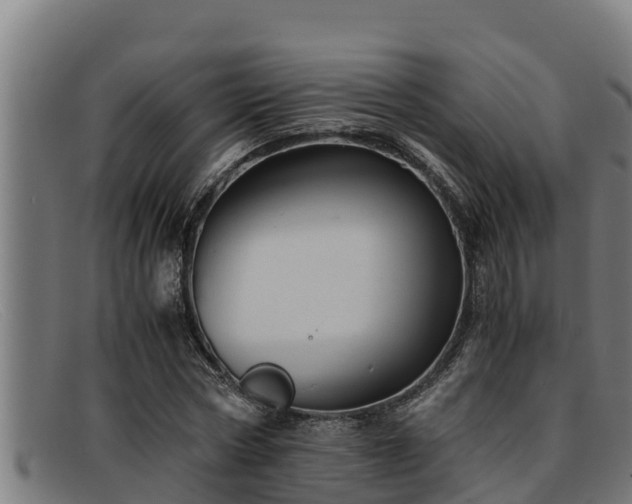 X0000091860778200709121329