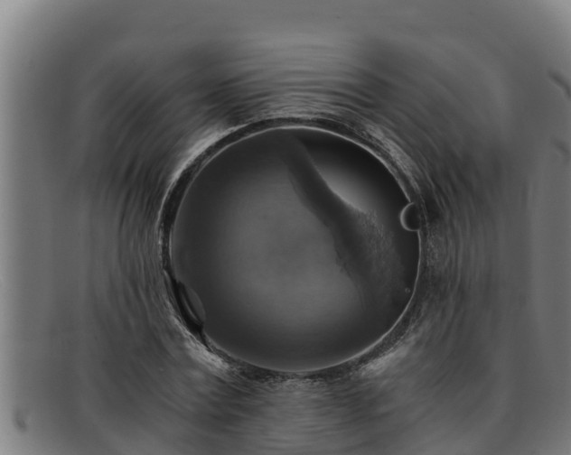 X0000091860779200709121329