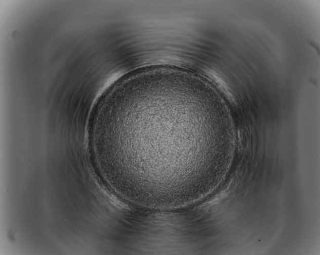 X0000091860780200709121329