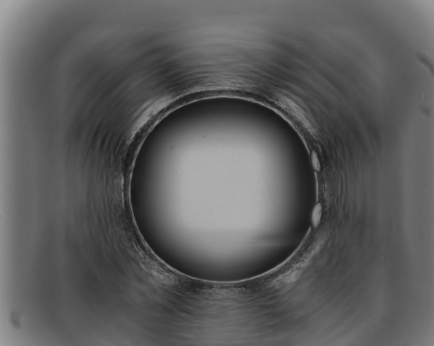 X0000091860781200709121329