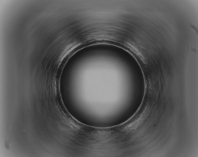 X0000091860782200709121329