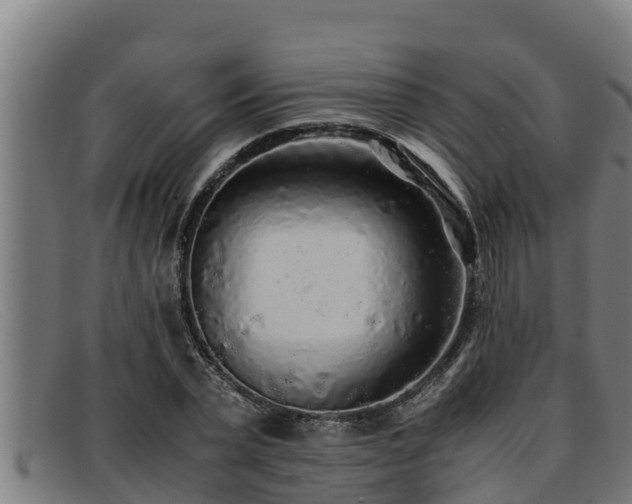 X0000091860783200709121329