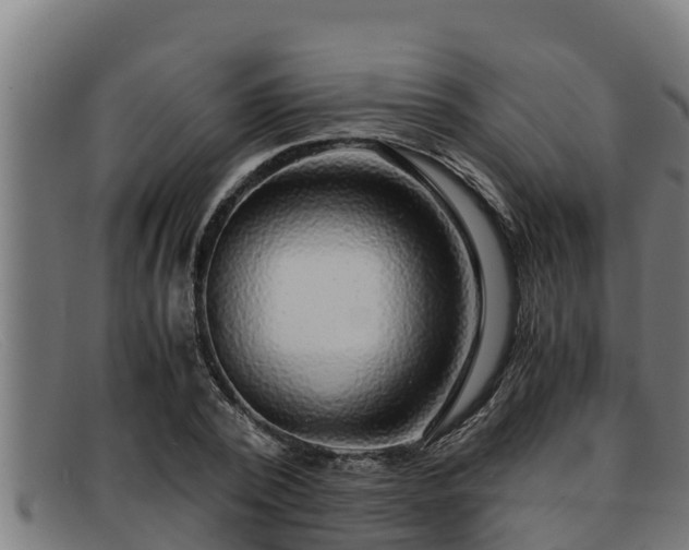 X0000091860784200709121329