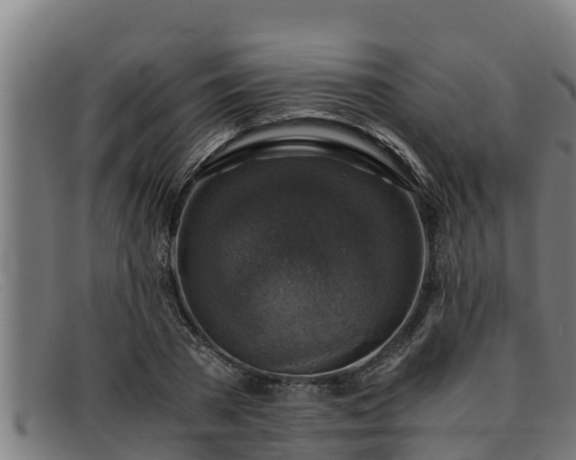 X0000091860785200709121329