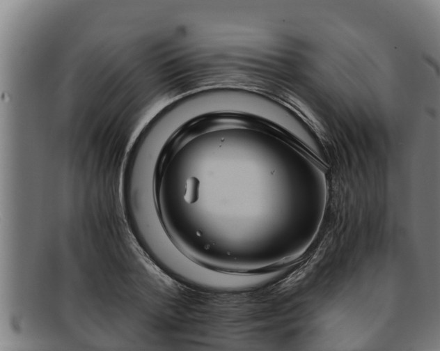 X0000091860788200709121329