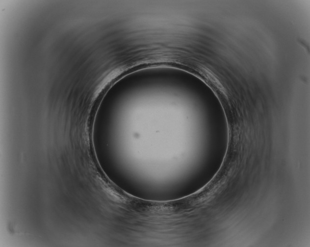 X0000091860789200709121329