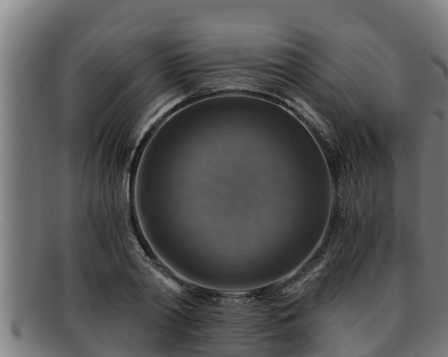 X0000091860790200709121329