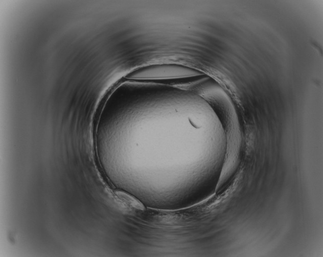 X0000091860792200709121329