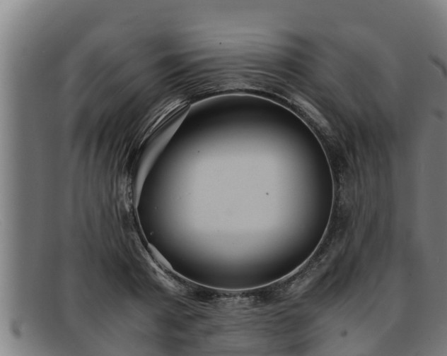 X0000091860793200709121329