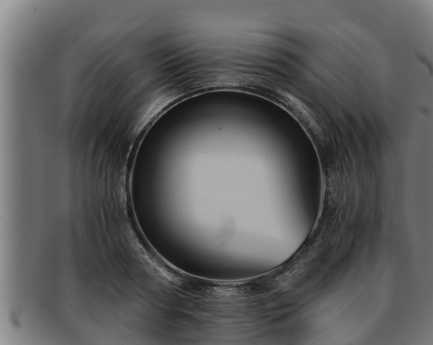 X0000091860794200709121329