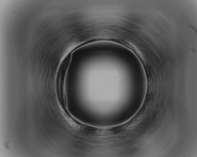 X0000091860795200709121329