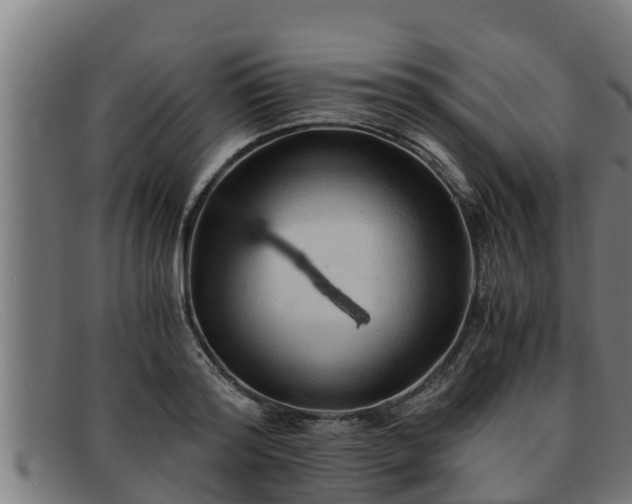 X0000091860796200709121329