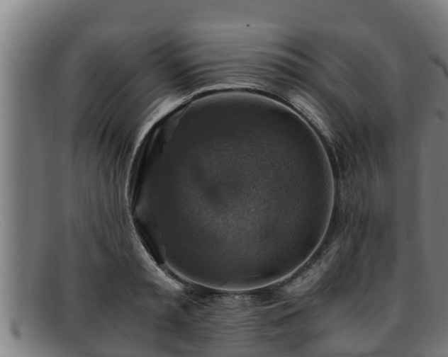 X0000091860797200709121329