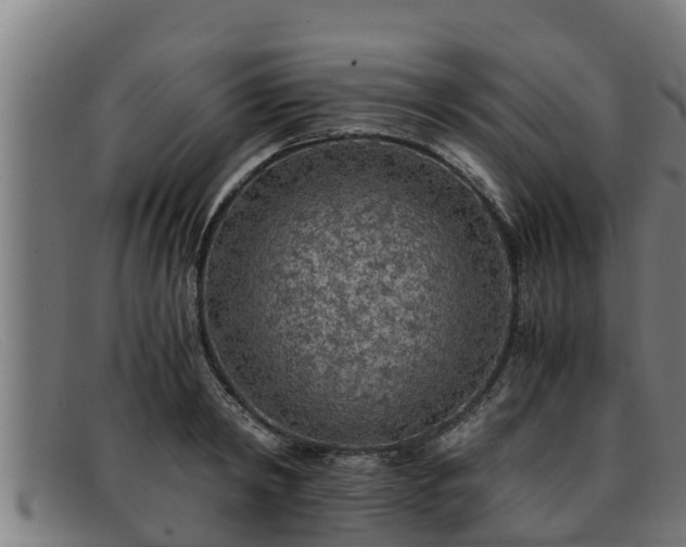 X0000091860798200709121329