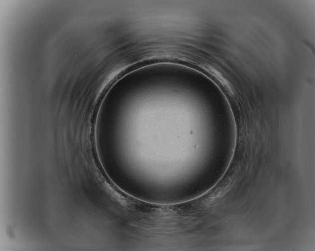 X0000091860799200709121329