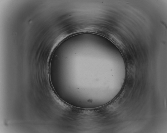 X0000091860800200709121329