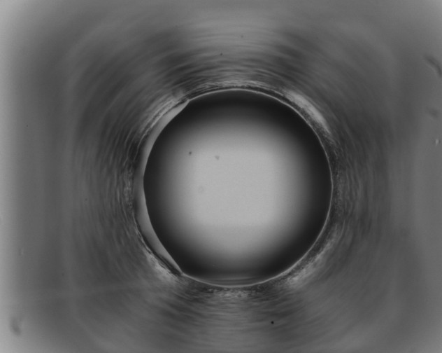 X0000091860801200709121329