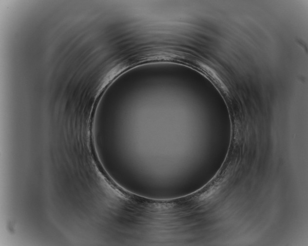 X0000091860802200709121329