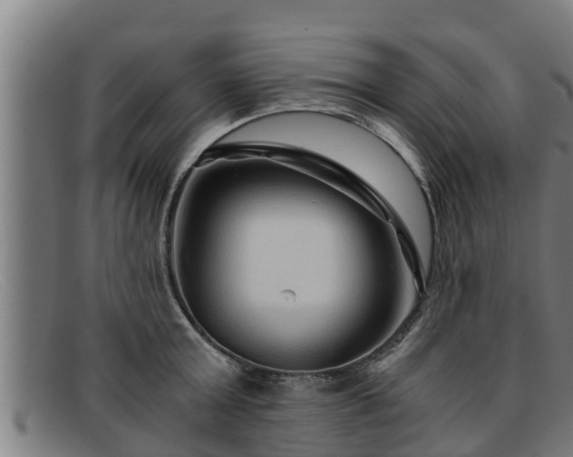 X0000091860803200709121329