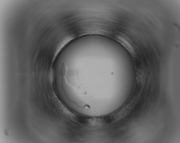 X0000091860804200709121329