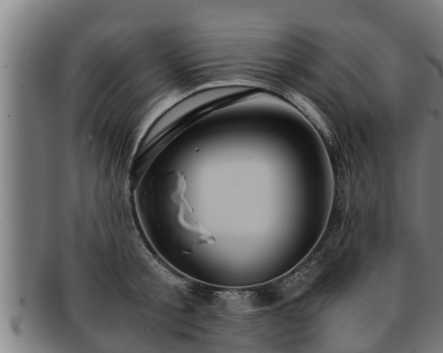 X0000091860805200709121329