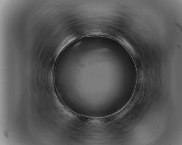 X0000091860806200709121329