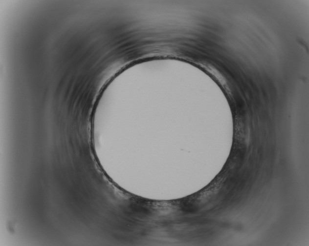 X0000091860807200709121329