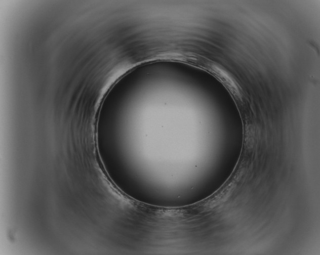 X0000091860808200709121329