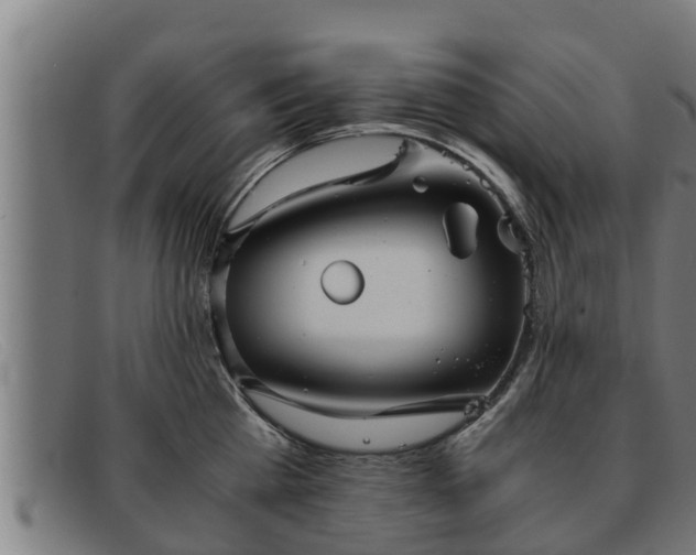 X0000091860809200709121329