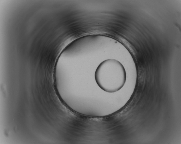 X0000091860810200709121329