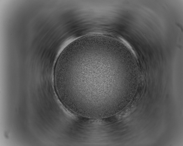 X0000091860811200709121329