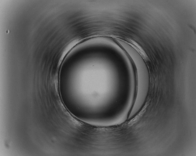 X0000091860812200709121329