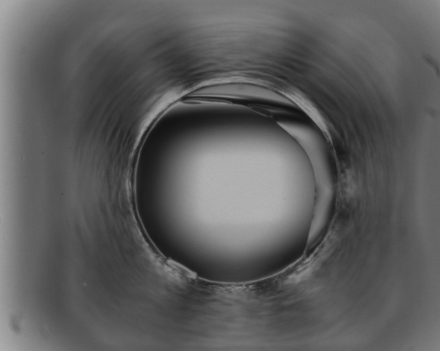 X0000091860813200709121329