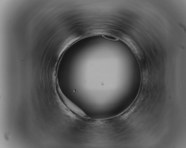 X0000091860814200709121329