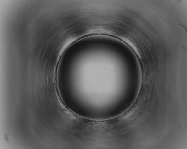 X0000091860815200709121329