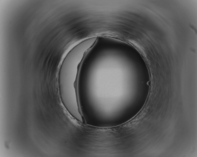 X0000091860816200709121329