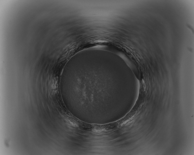 X0000091860818200709121328